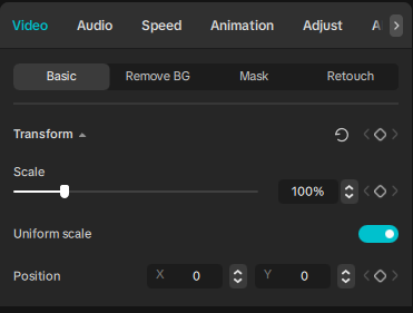 inspector panel capcut interface